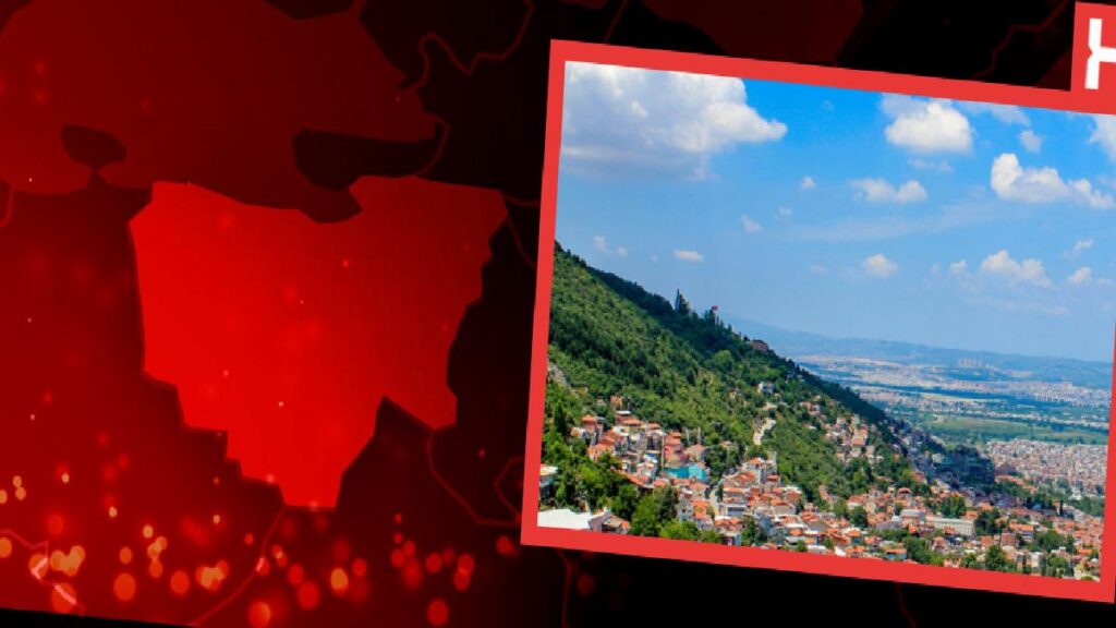 Bursa’da Çatı Katındaki Kuş Kümesinde Yangın Çıktı