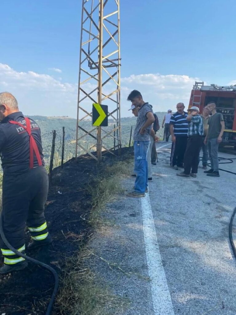Bursa’da Harmancık ve Orhaneli ilçelerinde çıkan yangınlar söndürüldü
