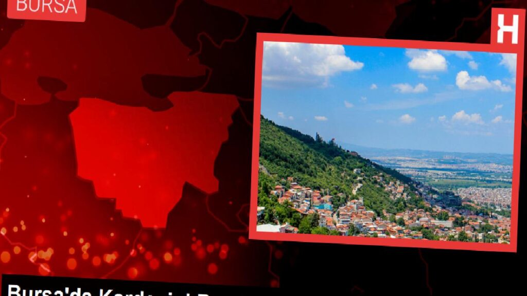 Bursa’da Kardeşini Bıçaklayan Zanlı, Silahla Öldürüldü