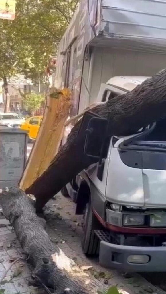 Bursa’da kırılan ağaç kamyonetin üzerine devrildi