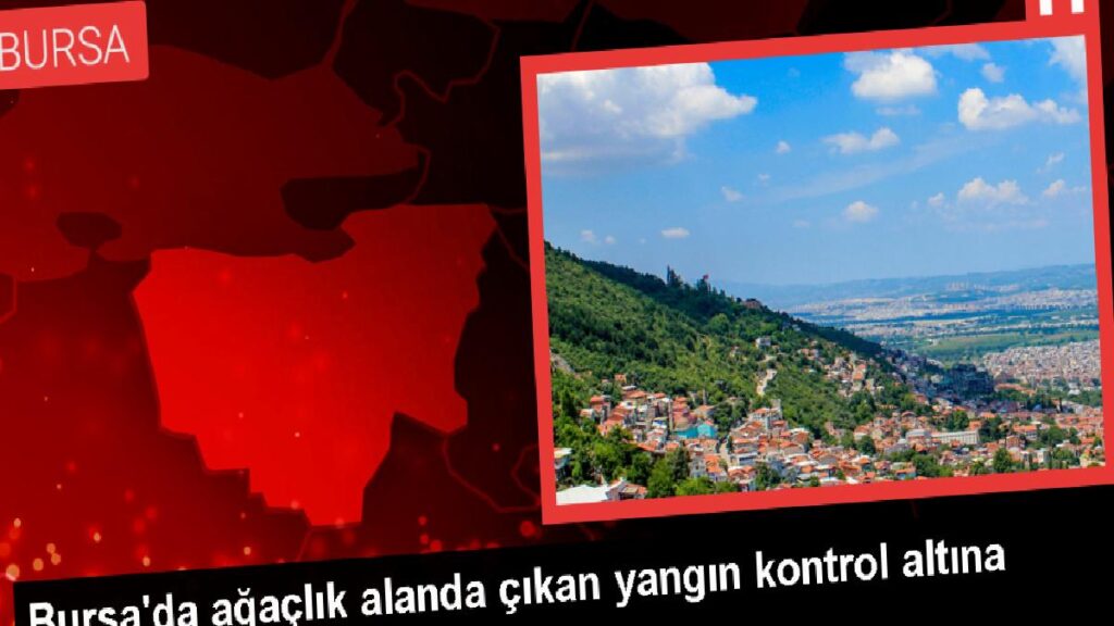 Bursa’da otluk alanda çıkan yangın denetim altına alındı