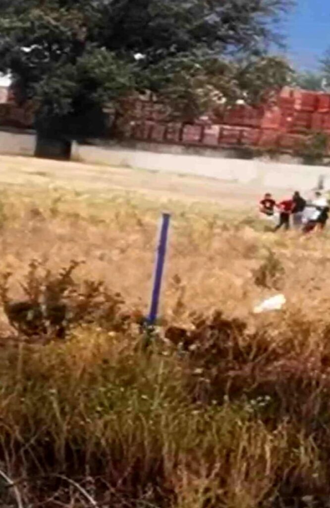 Bursa’da Tarlada Çıkan Yangın Arbedeye Dönüştü