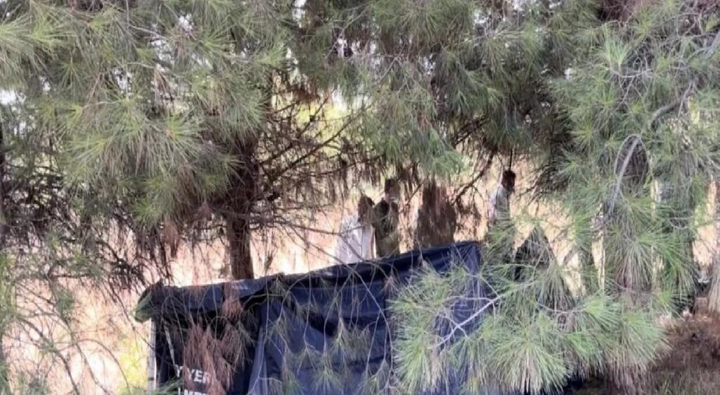 Bursa’da Yol Kenarında Erkek Cesedi Bulundu