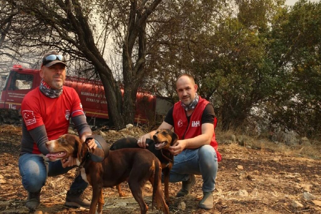 Çanakkale’deki orman yangınında mahsur kalan köpekler kurtarıldı