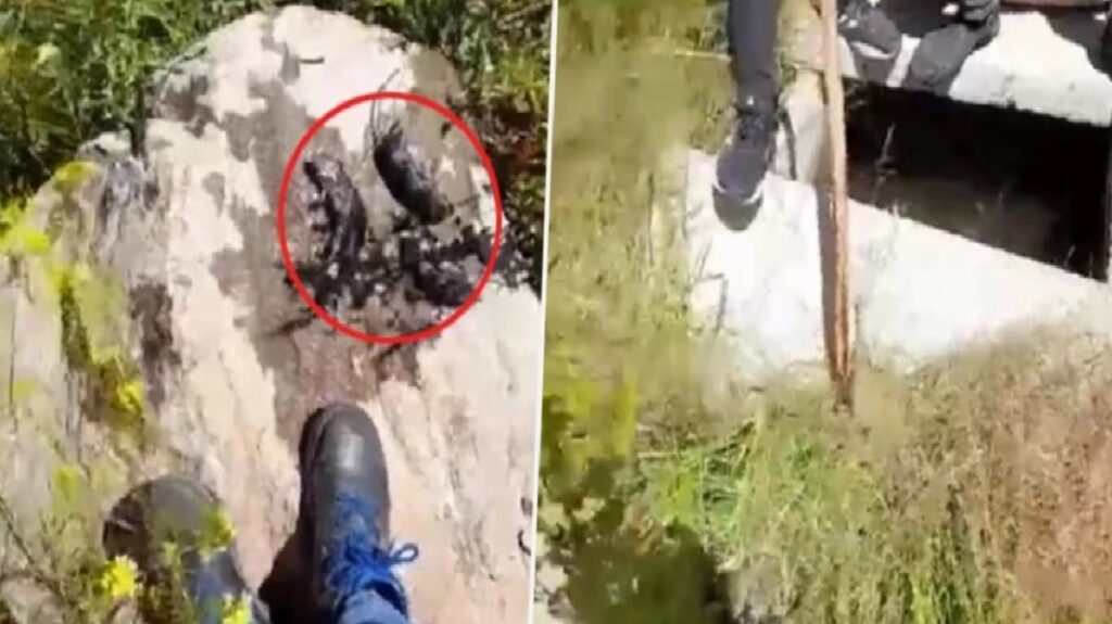 Erzurum’da içme suyu deposunda fare ölüleri çıktı