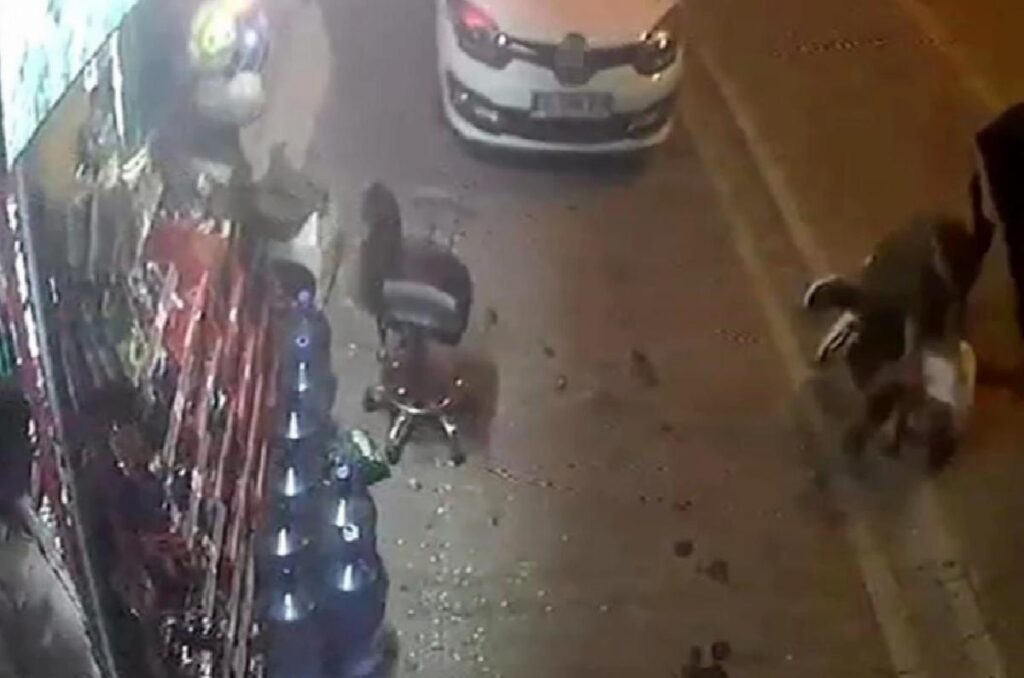 Esenyurt’ta Bir Bayanı Rahatsız Eden Adam Sokak Ortasında Darp Edildi