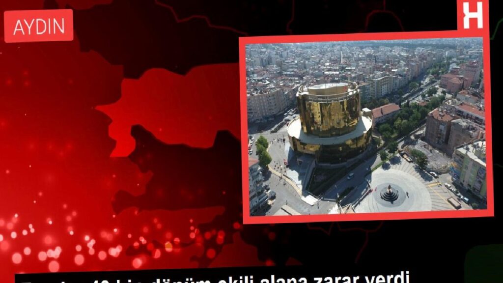 Fareler 40 bin dönüm ekili alana ziyan verdi