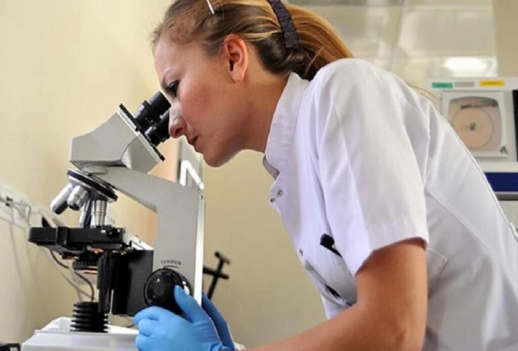 Hematoloji nedir, hangi hastalıklara bakar?