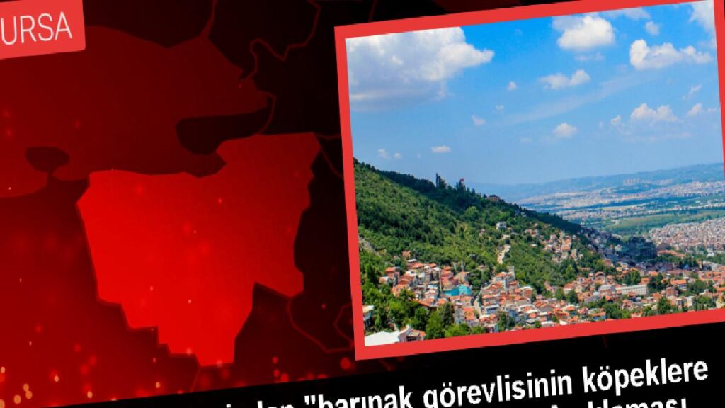 İnegöl Belediyesi, toplumsal medyada paylaşılan hayvanlara ateş eden manzaraların eski olduğunu açıkladı
