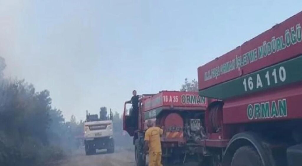 Karacabey’deki Yangın 3 Saatte Denetim Altına Alındı