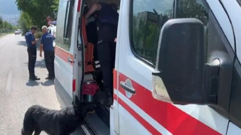 Köpeğini Gezdiren Adam Tabancayla Vuruldu, Köpeği Ambulansın Kapısının Önünde Bekledi