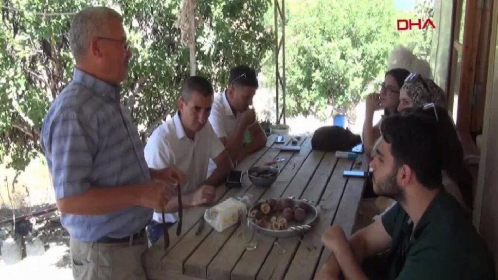 Manavgat’ta Keçiboynuzu Üretimi