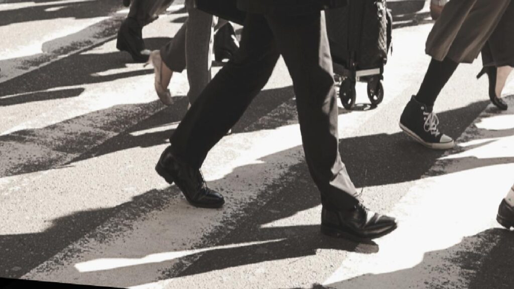 Maymun, 4 aylık bebeği çatıdan aşağı attı