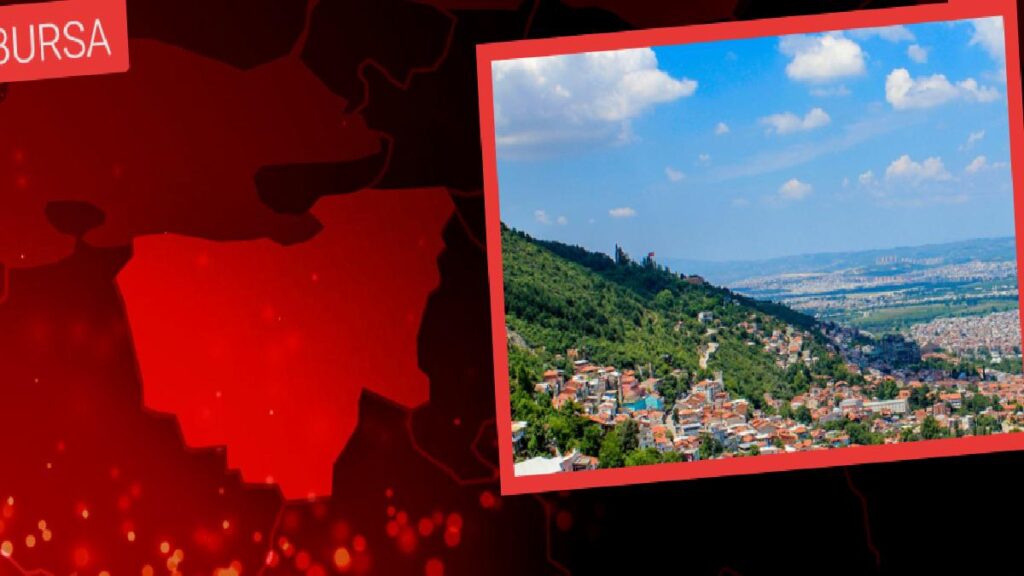 MHP Bursa İl Başkanlığına Gemlikli siyasetçi atandı