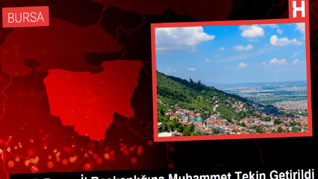 MHP Bursa Vilayet Başkanlığına Muhammet Tekin Getirildi