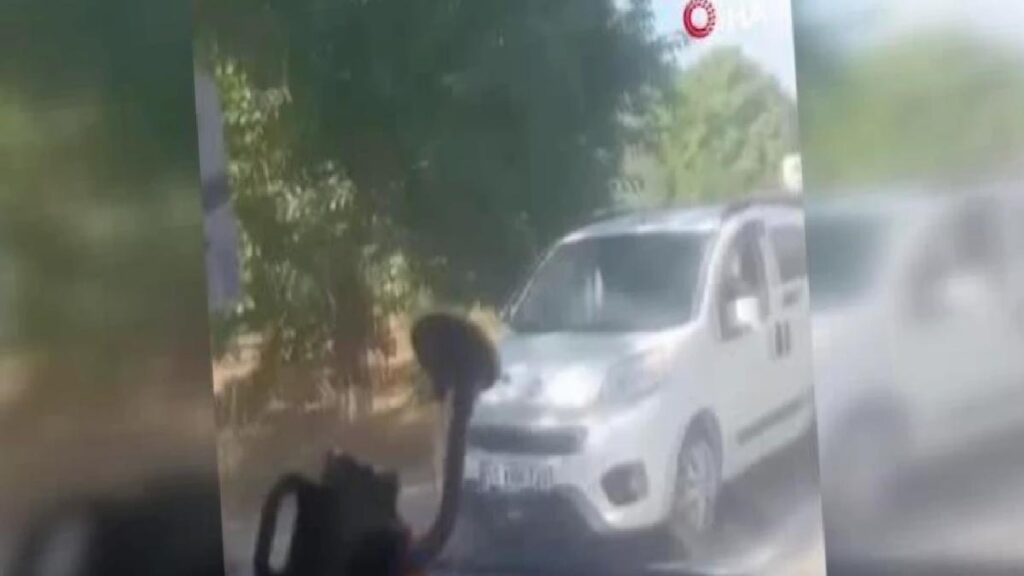 Minibüs ile traktörün karıştığı kazada 3 kişi yaralandı