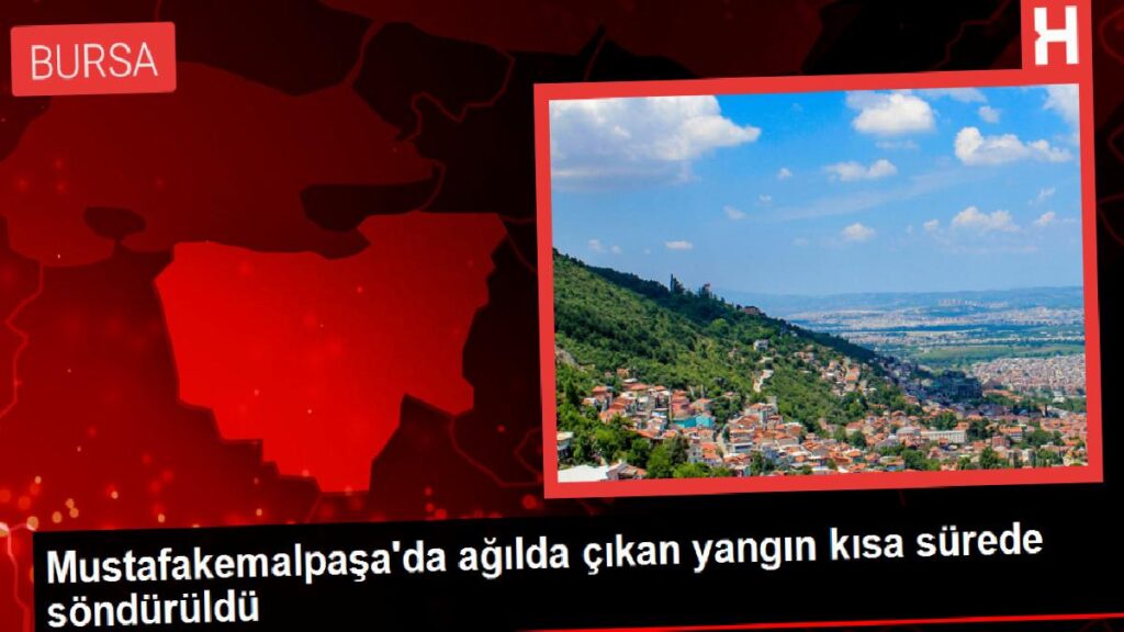 Mustafakemalpaşa’da ağılda çıkan yangın kısa müddette söndürüldü