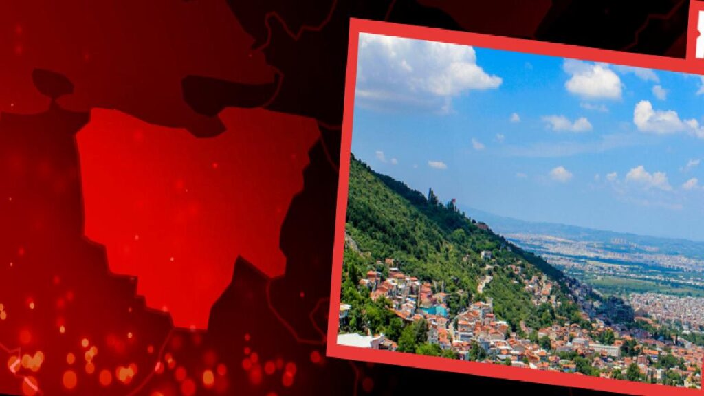 Müstakil mesken alevlere teslim oldu