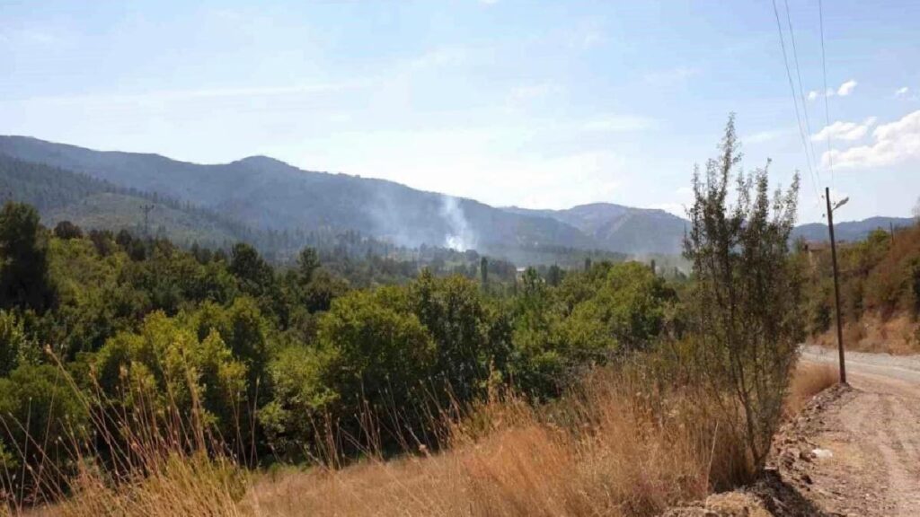 Orhaneli’de çıkan orman yangını büyümeden söndürüldü