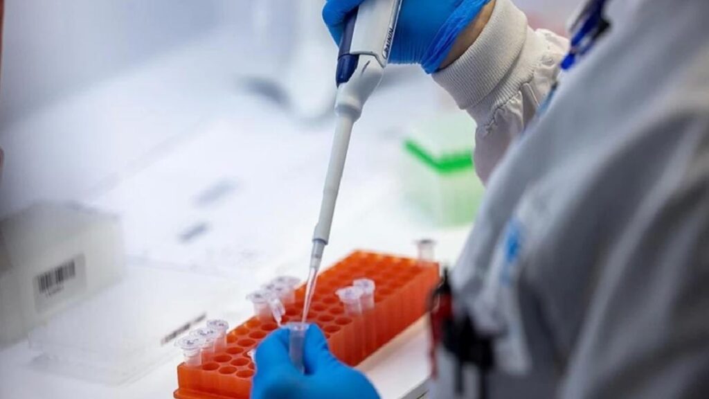 Patojen nedir? Patojenlerin gizemi çözülüyor: Patojen nasıl bulaşır ve hangi hastalıklara neden olur?