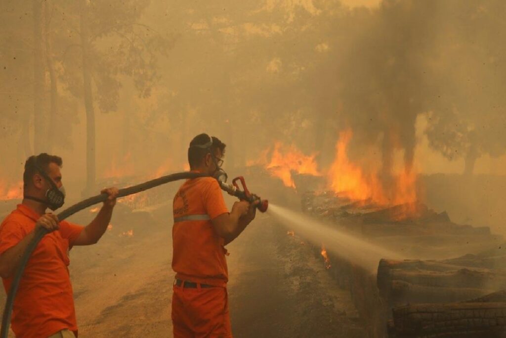 Son Dakika! Çanakkale ve Eskişehir’deki orman yangınları denetim altına alındı