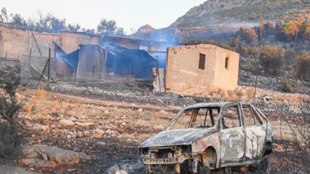 Son Dakika! Yunanistan’da yangınların devam ettiği ormanlık alanda 18 kişinin cesedi bulundu
