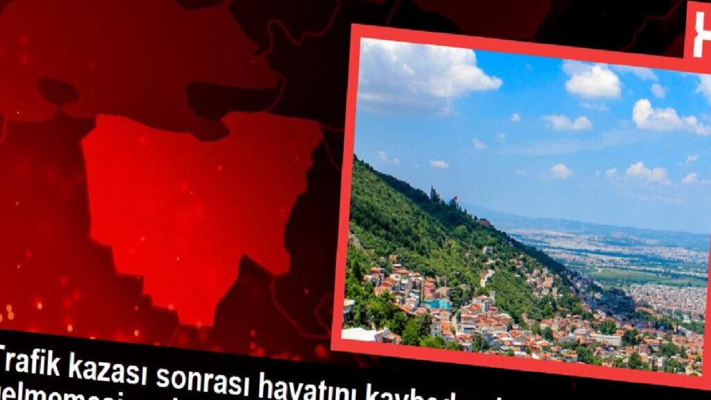Trafik kazası sonrası hayatını kaybeden hasta, tabibin gelmemesi nedeniyle toprağa verilemedi