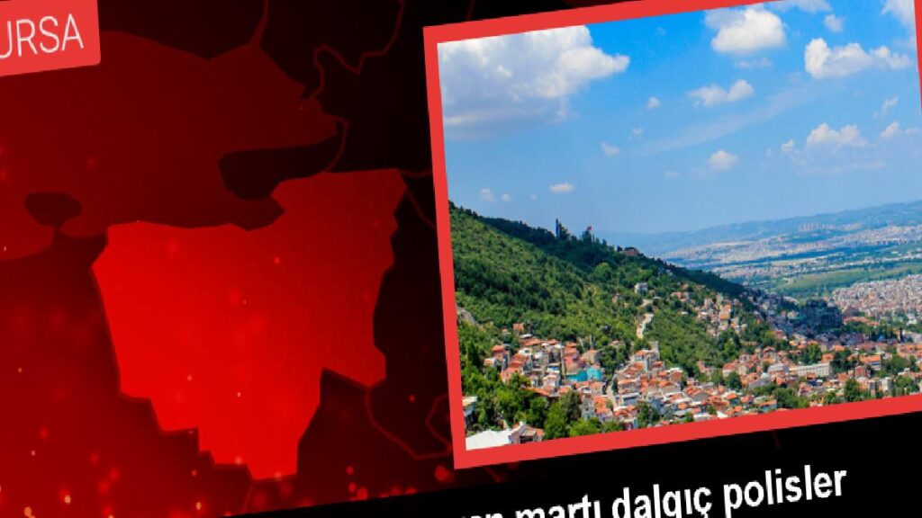 Uçamayan Martı Gemlik Körfezi’nde Kurtarıldı