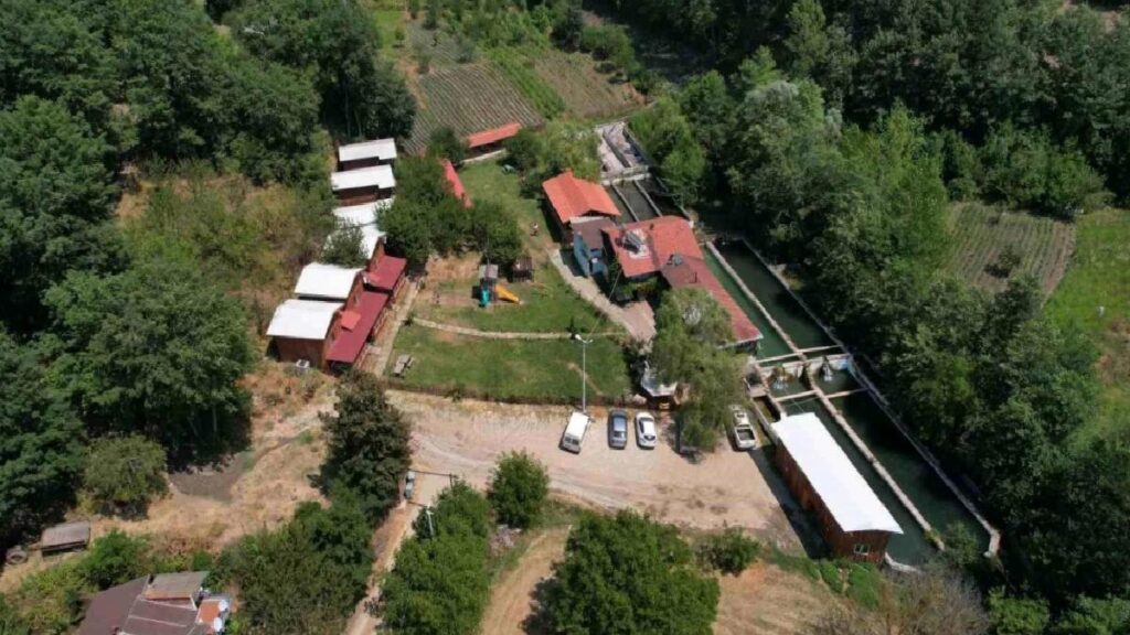 Uludağ’ın eteğindeki çiftlikte alabalık yetiştiriliyor