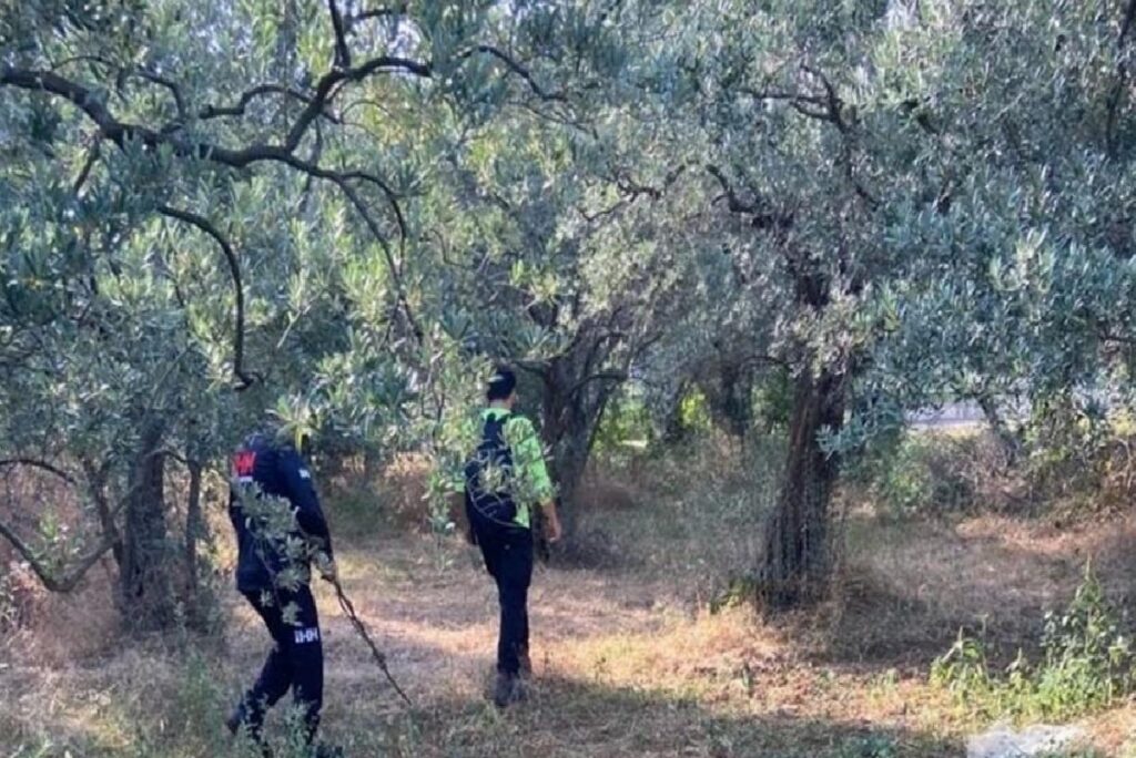 Yalova’da kaybolan öğretmen için arama çalışması başlatıldı