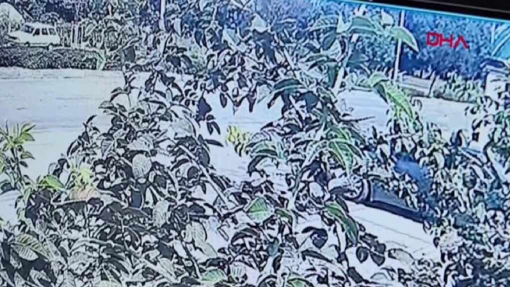 Yola çıkan köpek, kazaya neden oldu; 3 yaralı