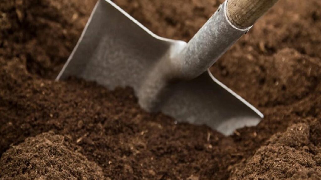 Bahçede kaybettikleri altın küpeyi detektörle arayan aile, değer biçilemez bir tarihi keşif yaptı