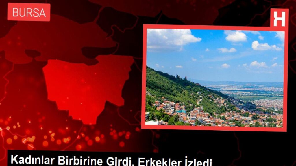 Bayanlar Birbirine Girdi, Erkekler İzledi