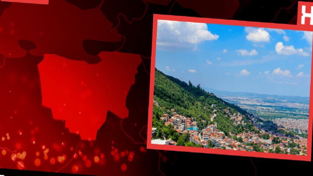 Bursa’da Arı Sokması Sonucu Bayan Hayatını Kaybetti