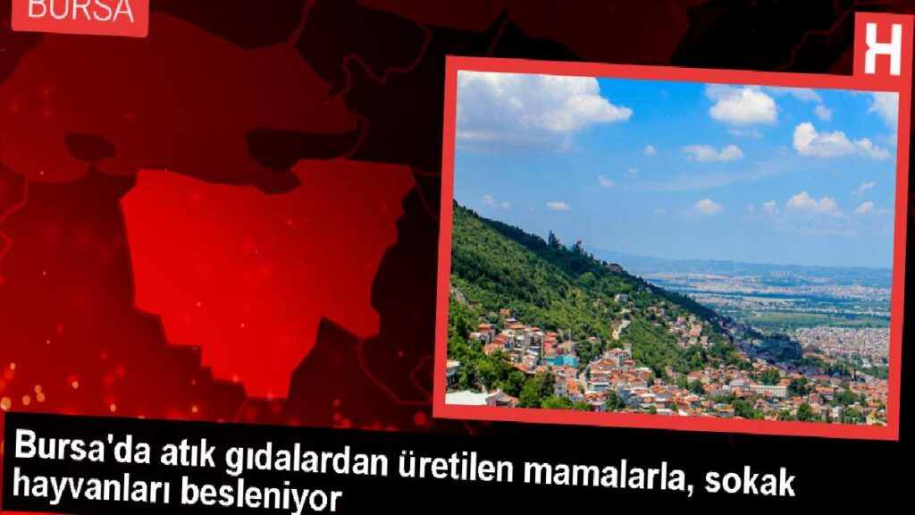 Bursa’da Atık Yemeklerden Mama Üretimi Yapılıyor