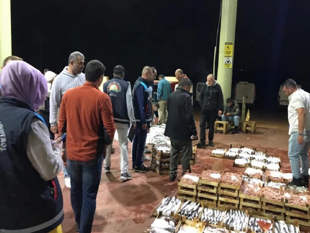 Bursa’da Balık Halinde Kontrol Yapıldı