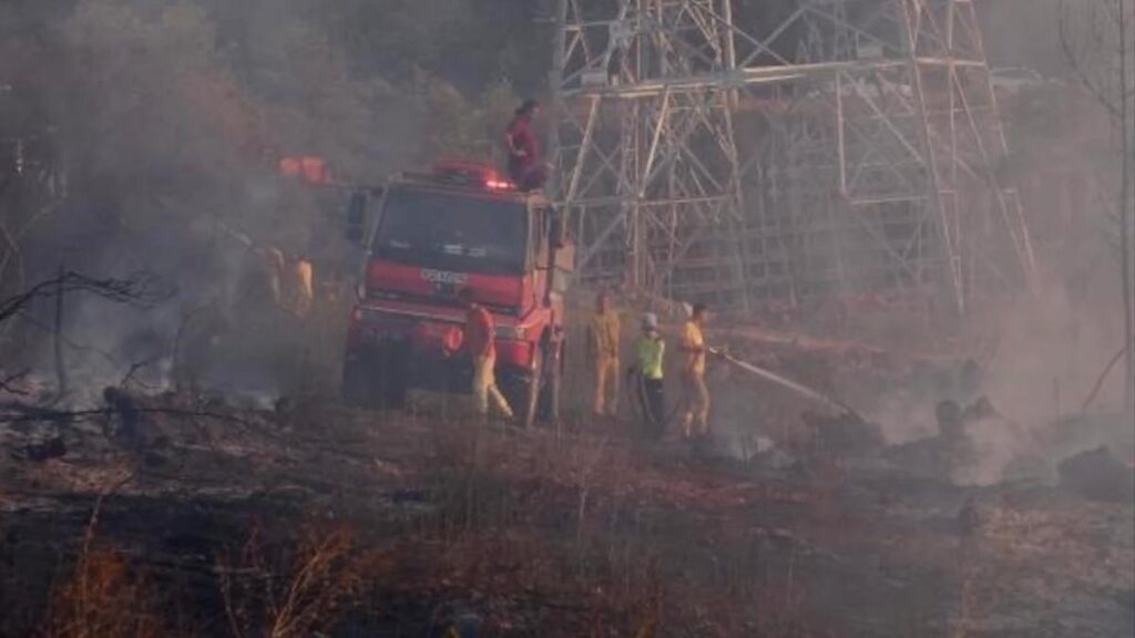Bursa’da çıkan orman yangını denetim altına alındı