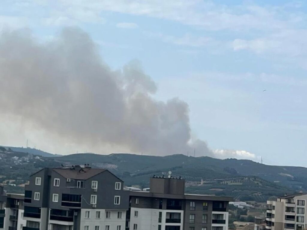 Bursa’da çıkan orman yangını denetim altına alındı