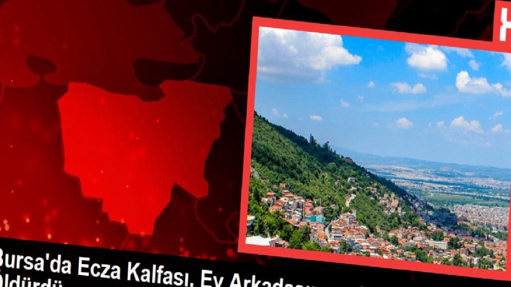 Bursa’da Ecza Kalfası, Konut Arkadaşını ve Köpeğini Öldürdü