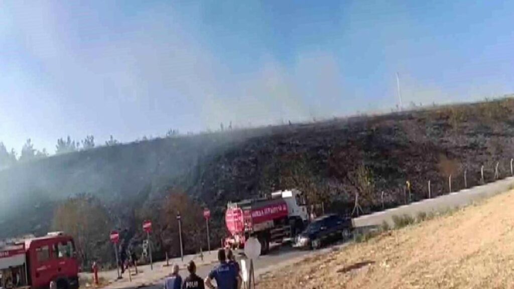 Bursa’da Gençlerin Attığı Torpil Yangına Sebep Oldu