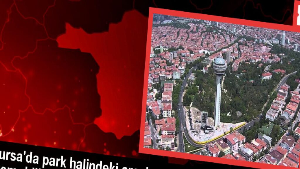 Bursa’da kaza: Araba elektrik direğine ve park halindeki araçlara çarptı