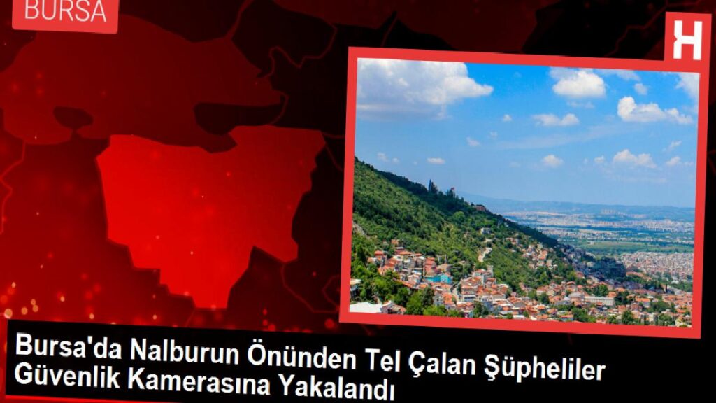 Bursa’da Nalburun Önünden Tel Çalan Şüpheliler Güvenlik Kamerasına Yakalandı