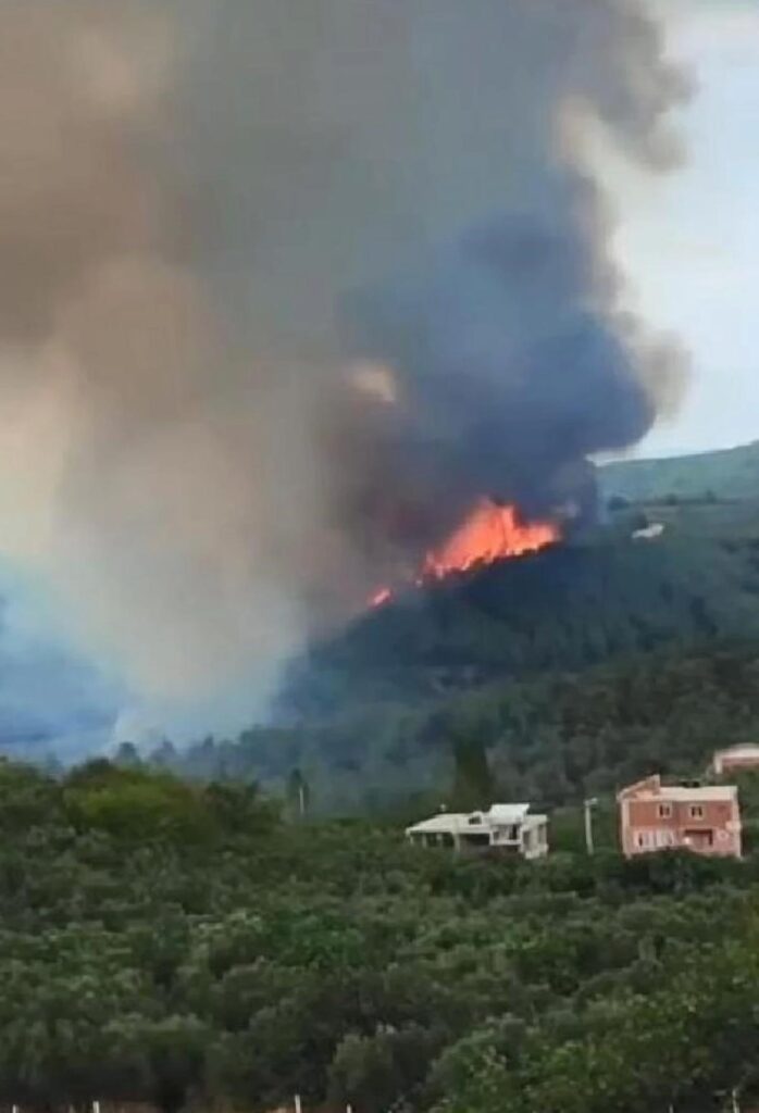 Bursa’da Orman Yangını: Gruplar Havadan ve Karadan Müdahale Ediyor