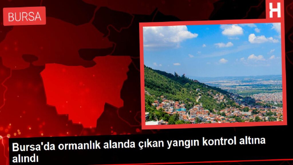 Bursa’da ormanlık alanda çıkan yangın denetim altına alındı