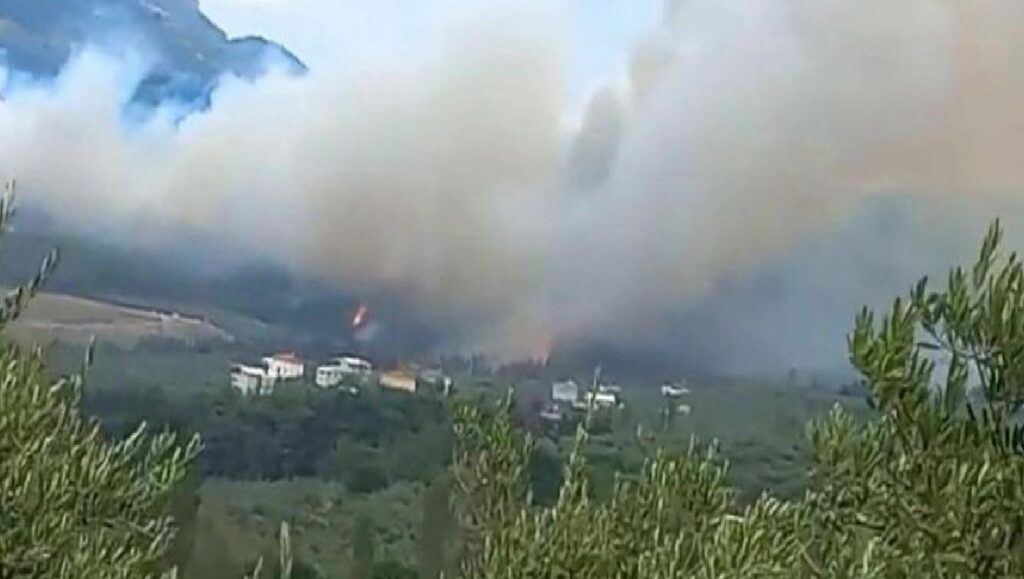 Bursa’da Ormanlık Alanda Çıkan Yangın Süratle İlerliyor