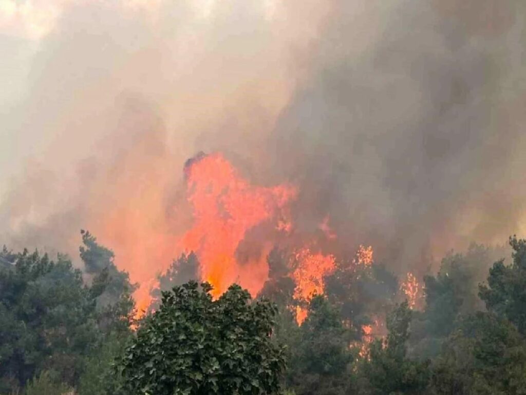 Bursa’da Ormanlık Alanda Çıkan Yangına Havadan ve Karadan Müdahale Devam Ediyor