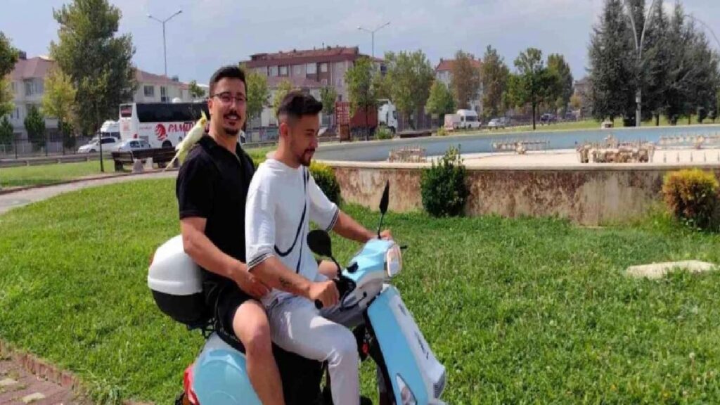 Bursa’da Sahibinden Ayrılmayan Şakir İsimli Papağan Kent Tipi Atıyor