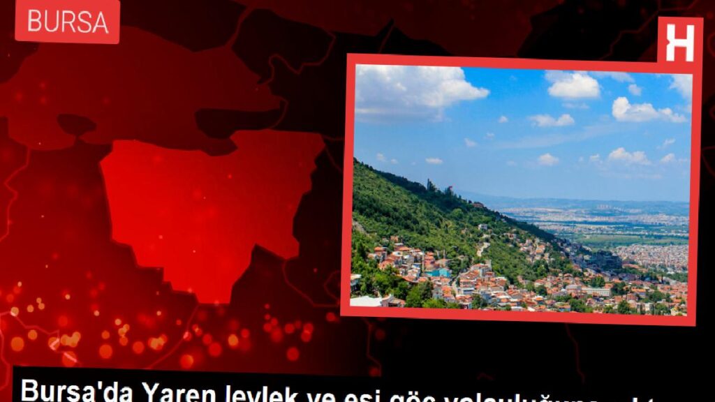 Bursa’da Yaren leylek ve eşi göç seyahatine çıktı