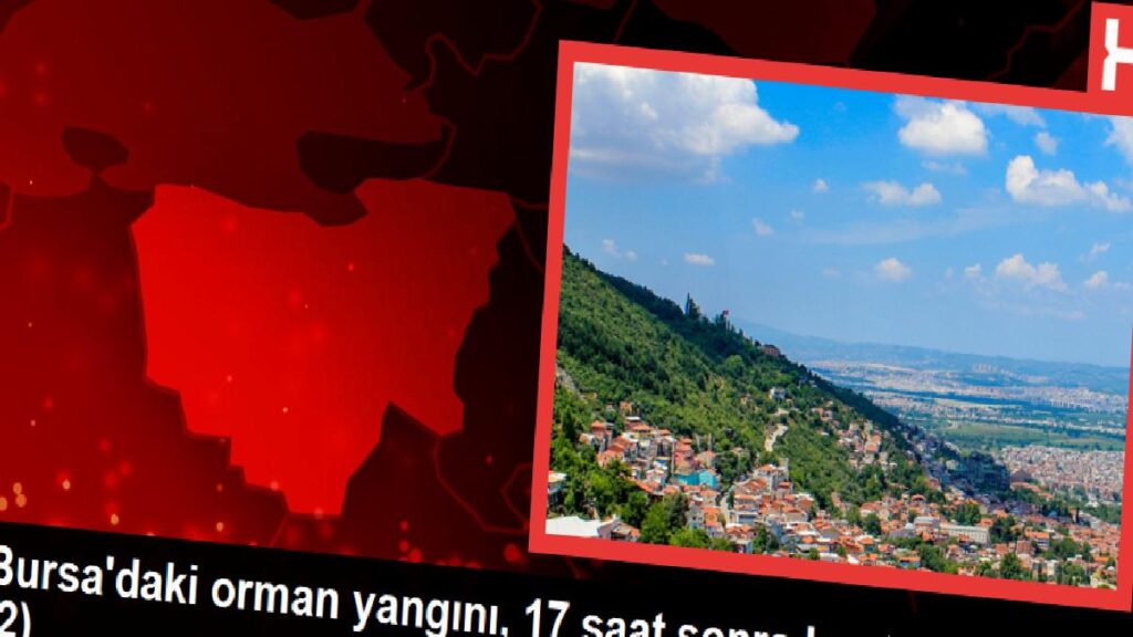 Bursa’daki orman yangını, 17 saat sonra denetim altında (2)