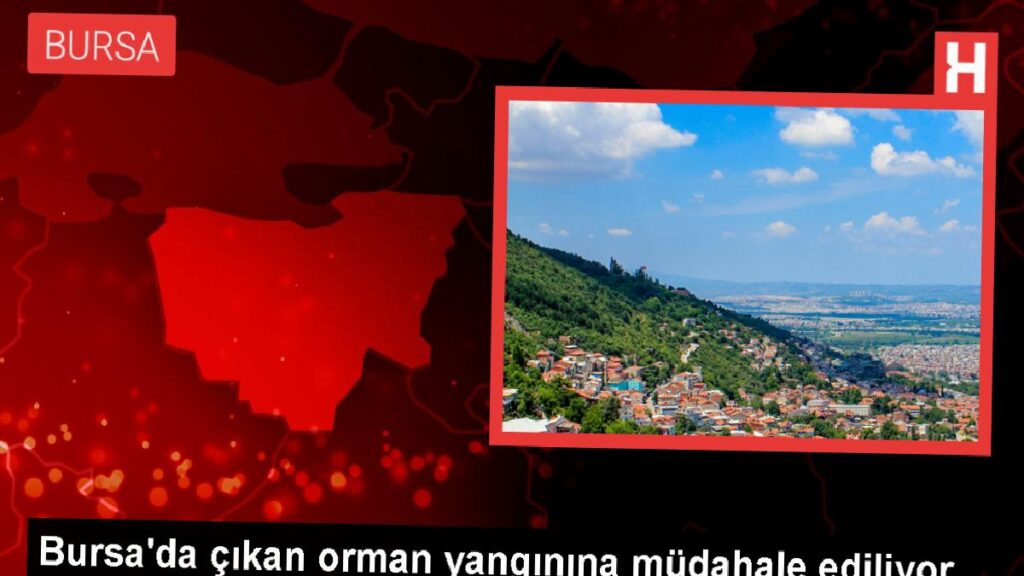 Bursa’nın Harmancık ilçesinde orman yangını çıktı